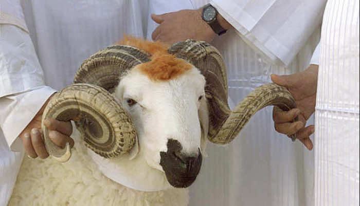 عيد الأضحى
