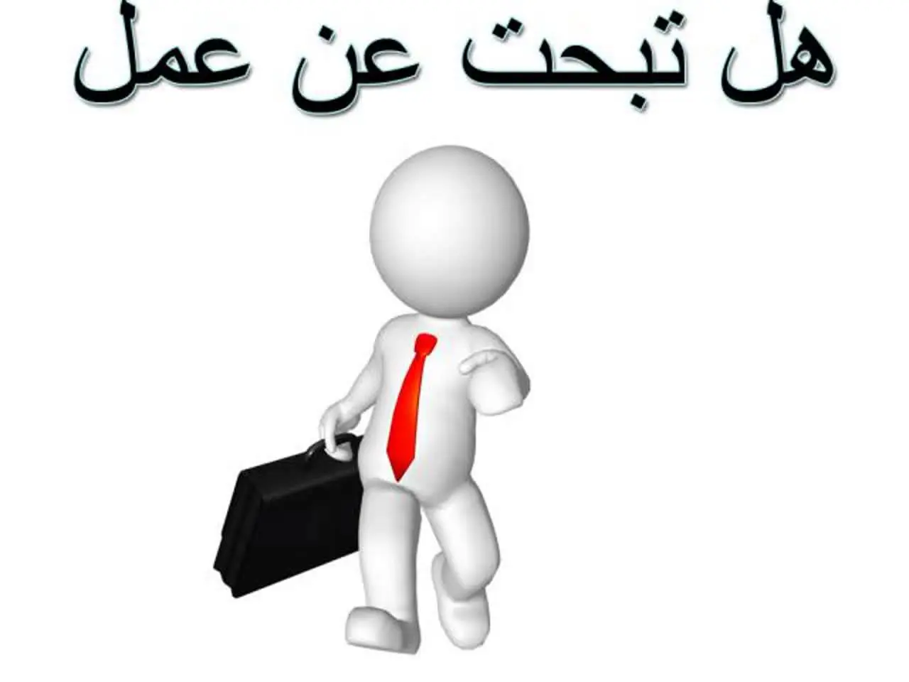 الوظيفة اساتذة