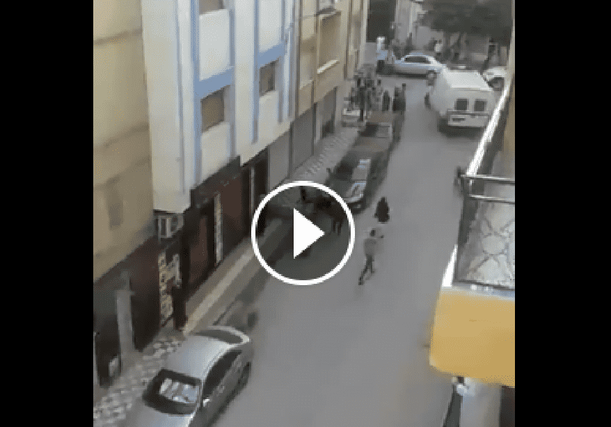 الحسيمة