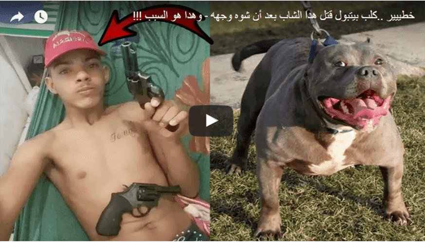 رشيد الإدريسي