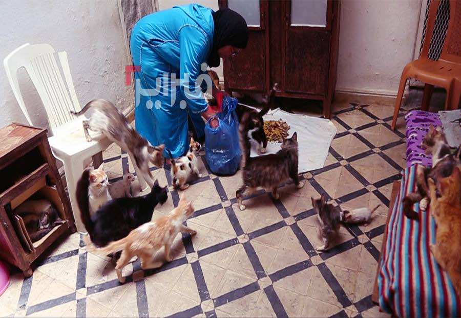 للا الياقوت مربية القطط