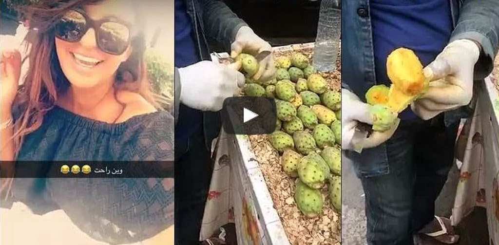شدى حسون