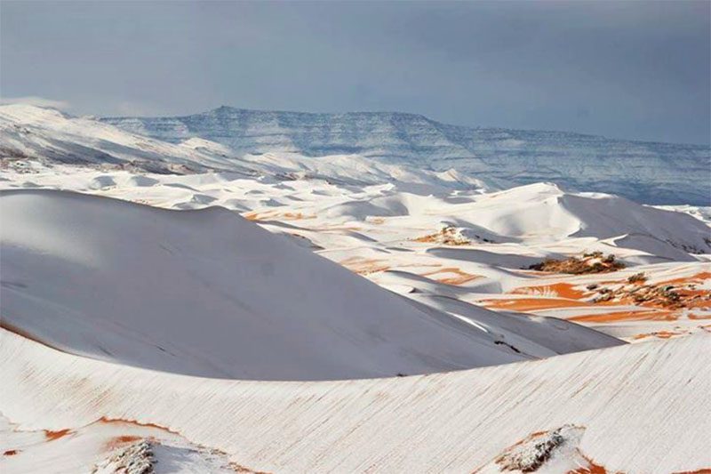 روعة التلج في الصحراء