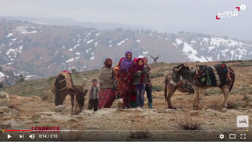 محنة البرد