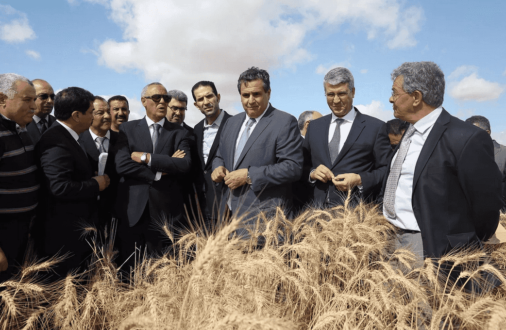 عزيز أخنوش وزير الفلاحة والصيد البحري والتنمية القروية والمياه والغابات