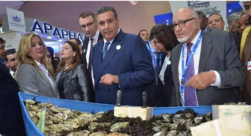 اخنوش يتابع مخطط اليوتيس