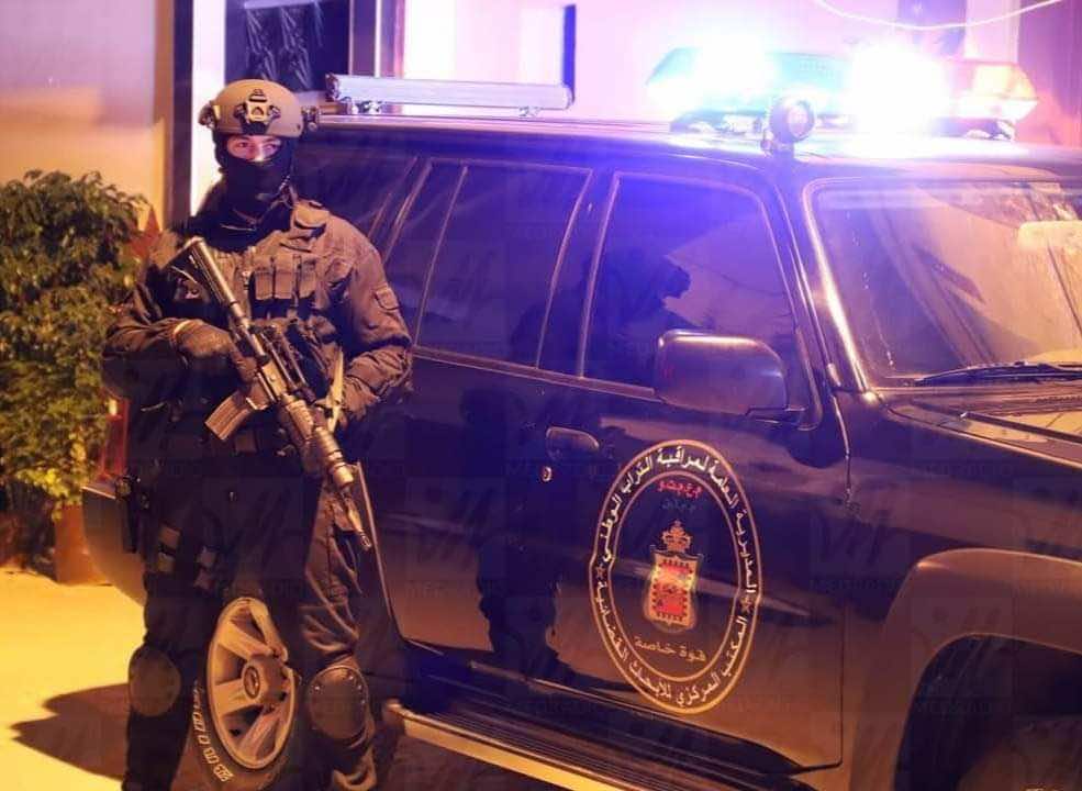 عناصر البسيج