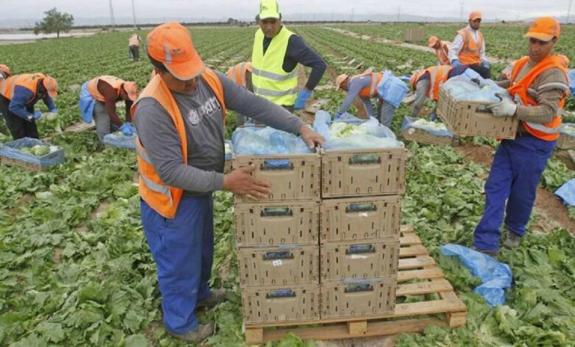 المغاربة أكثر العمال الأجانب مساهمة في نظام الضمان الاجتماعي بإسبانيا