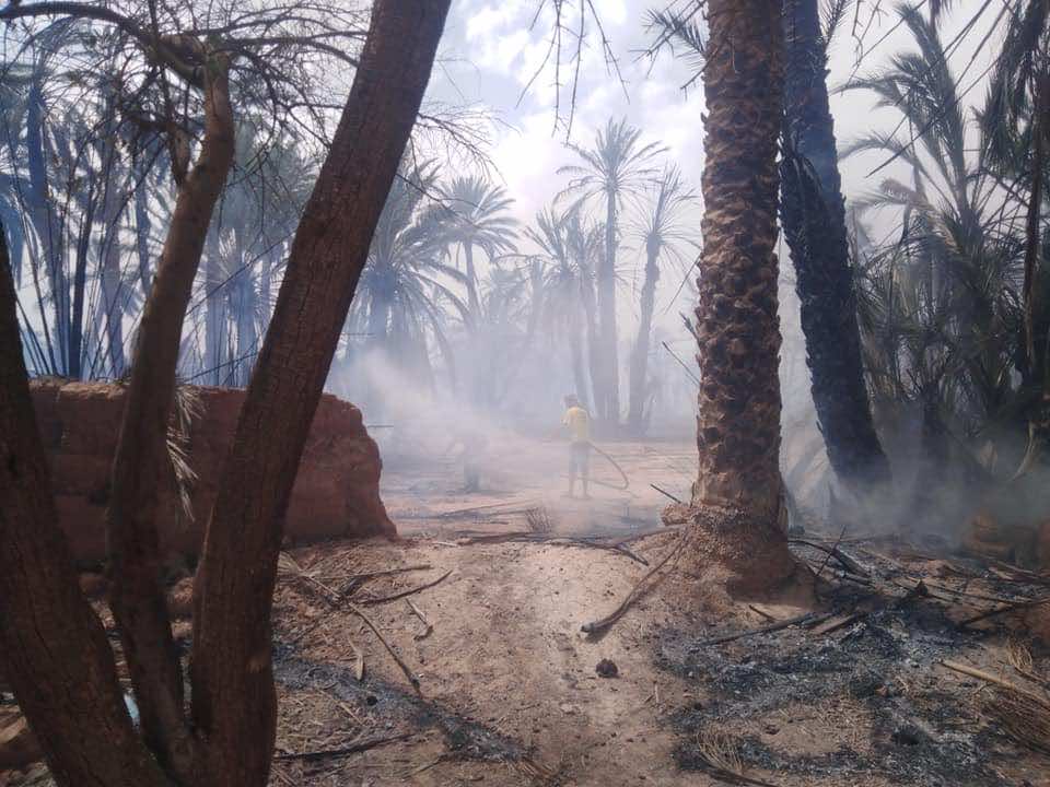 "واحة زيز"