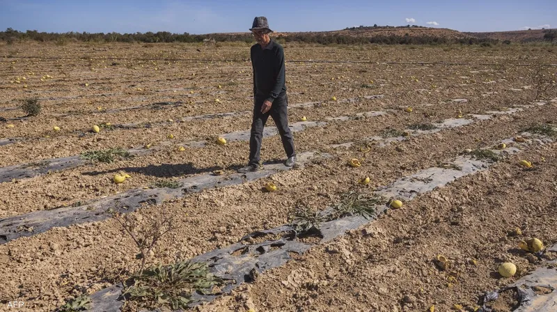 أزمة المناخ تعمق تحديات القطاع الفلاحي في المغرب