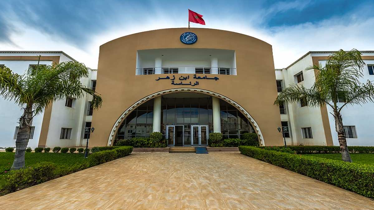 الاستاذ الجامعي