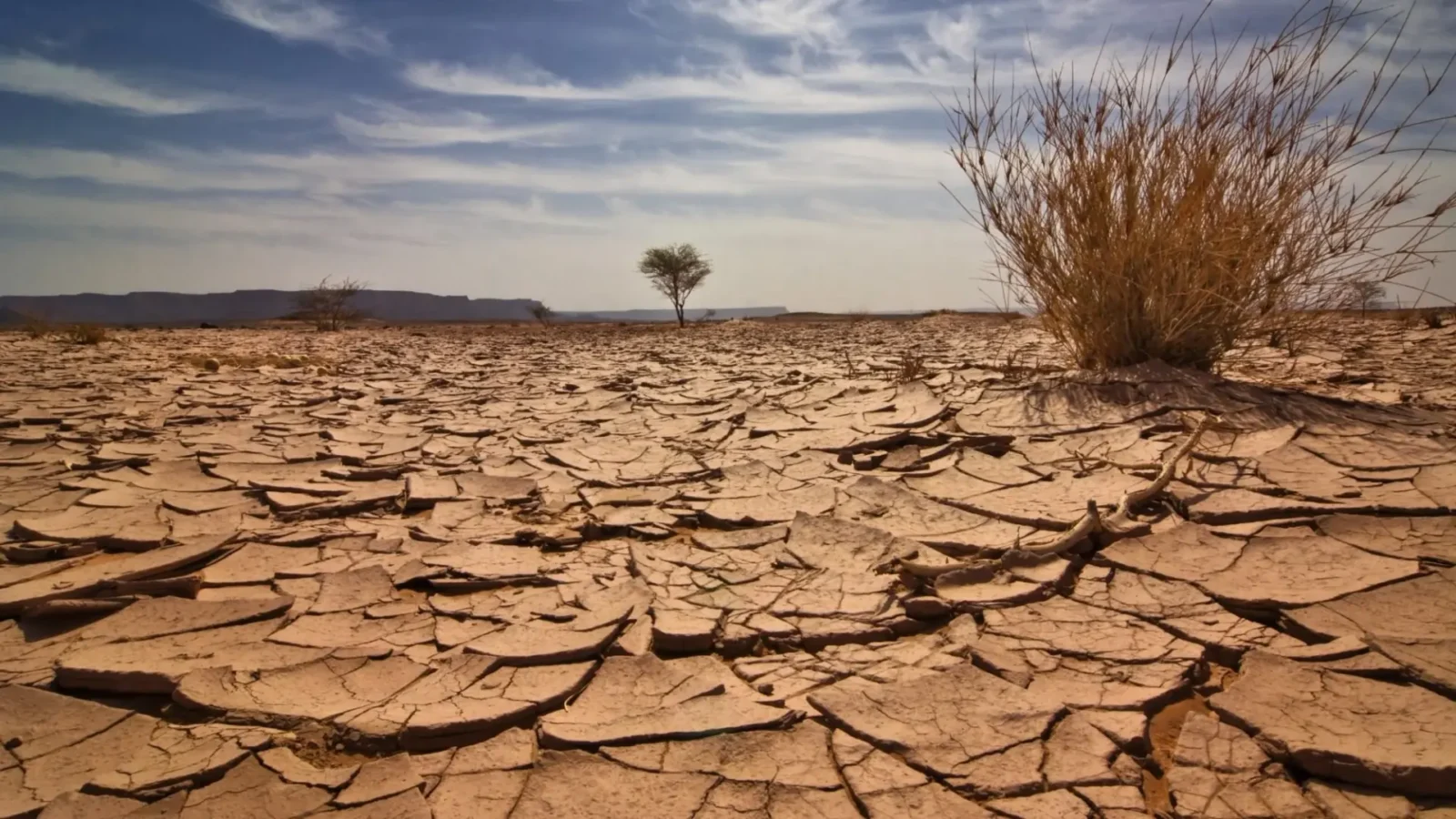 الجفاف المغرب