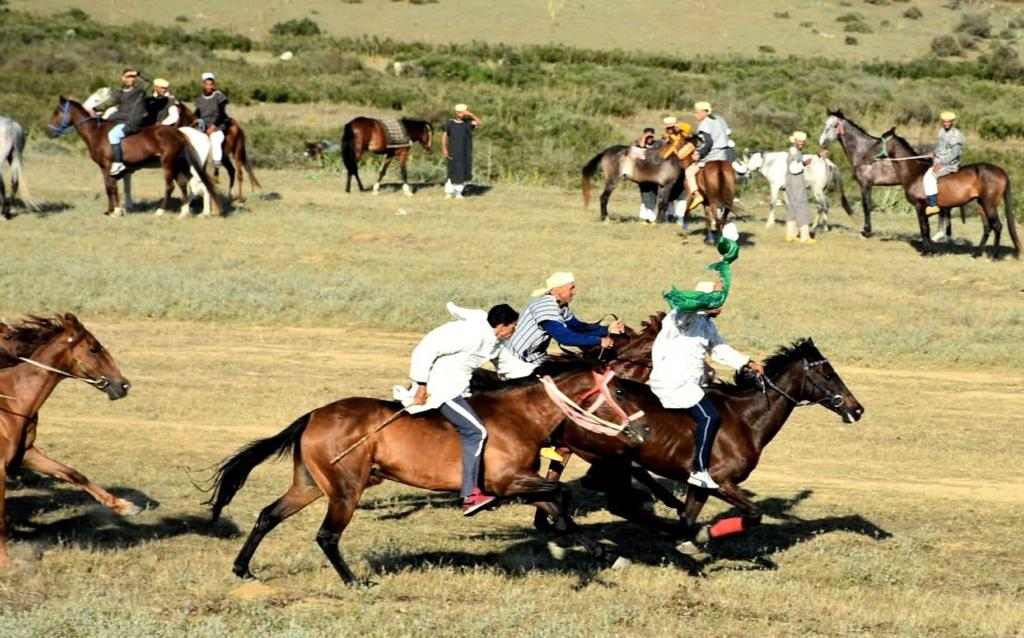 مهرجان ماطا