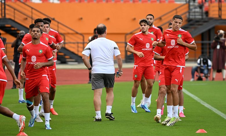تداريب الأسود