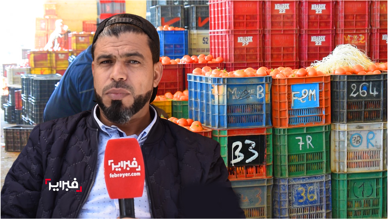 فلاح الطماطم سوسي