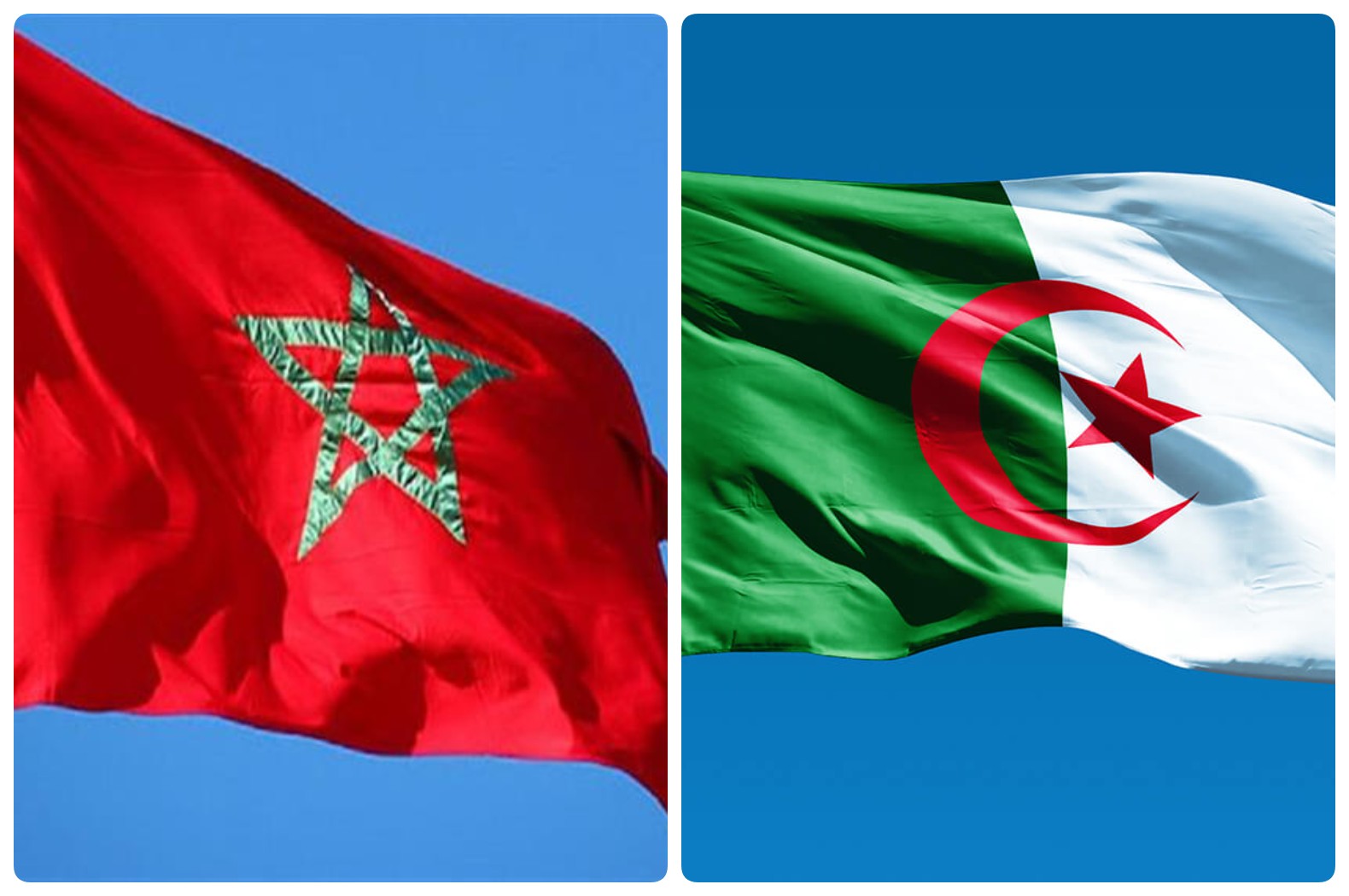 الجزائر