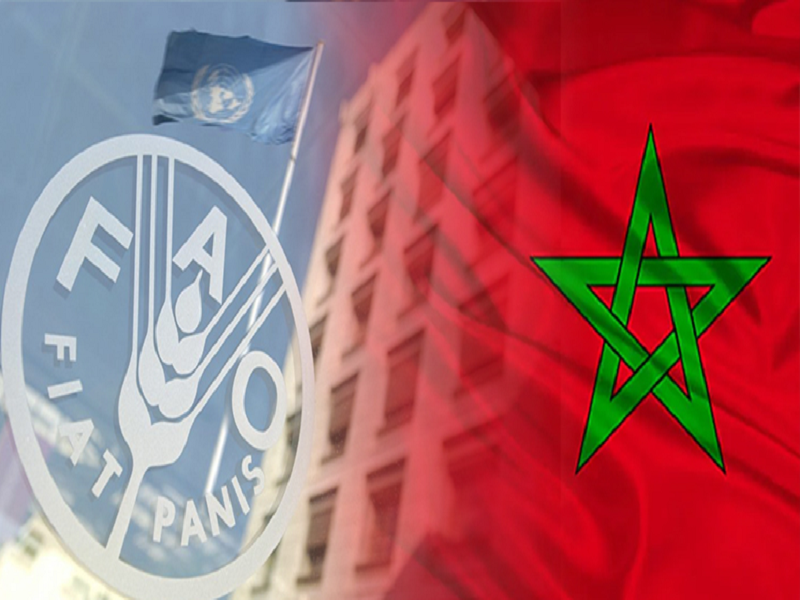 الفاو