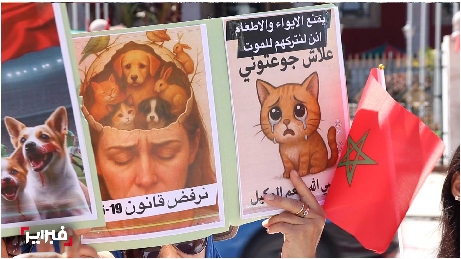 قانون الحيوانات- الرفق بالحيوان