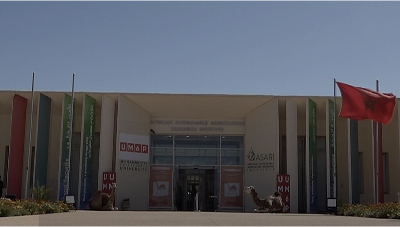 معهد asari التراث الصحراوي