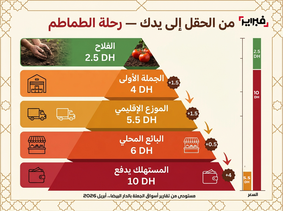 رحلة الطماطم 